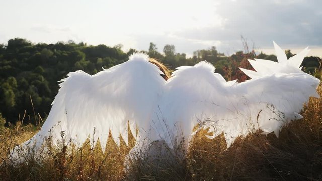 White angel sitting on dry grass on a hill raises up its wings and head, looks at the sky