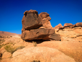 Fototapeta na wymiar the face of a lonely man of stone