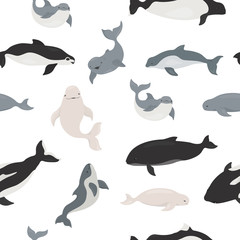 Marine mammals collection. Different porpoises set. Cartoon flat style seamless pattern