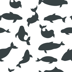 Marine mammals collection. Different porpoises set. Cartoon flat style seamless pattern