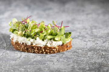 A vegetarian sandwich. A piece of rye bread with sesame seeds, soft cottage cheese, beet and sunflower sprouts, micro greens, on a dark gray background. Healthy food. Сlose-up