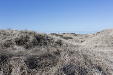 Blue sky with dunes