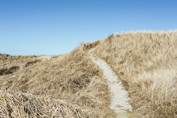 Path to the beach