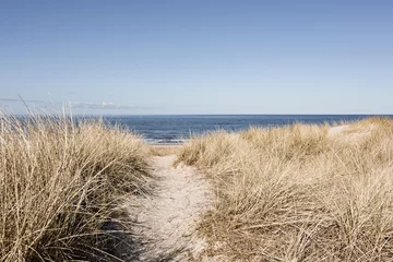 Foto op Aluminium Noordzee, Nederland Pad naar het strand