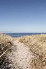 Photo sur Plexiglas Mer du Nord, Pays-Bas Chemin vers la plage