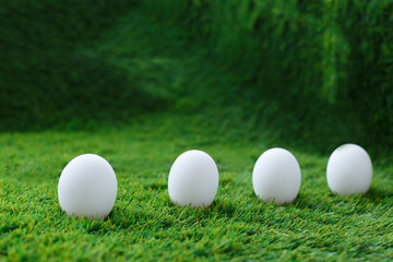 White chicken eggs on green grass, which are a symbol for the celebration of the Easter religious holiday among Christians and Catholics