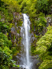 Waterfall on the way to Hana