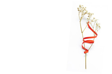 Red paper hearts isolated on white background