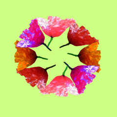 flower wreath poppy nature organic