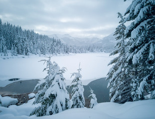 Snow covered frozen beautiful Gold Creek Pond with snow covered trees and trail during the winter in the Alpine Lakes Wilderness in Kittitas county Washington State
