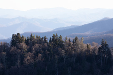 Great Smoky Mountains National Park