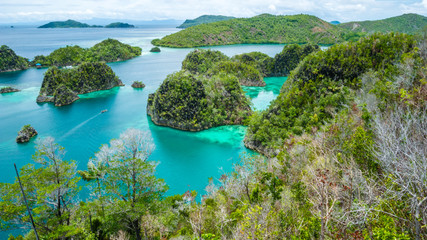 Fototapeta na wymiar Painemo Island, Blue Lagoon, Raja Ampat, West Papua, Indonesia