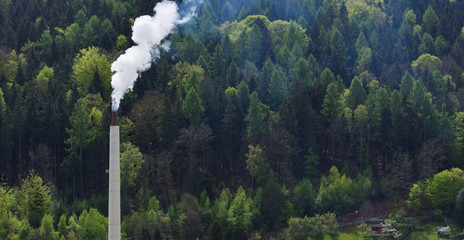Smoking pipe with smoke against the background of the forest with text space