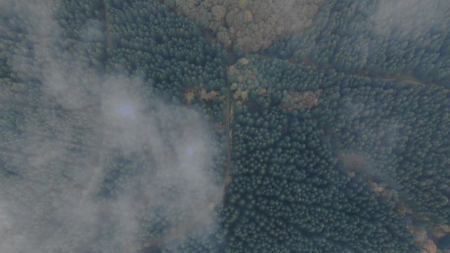Drone flying over a mystical and foggy forest
