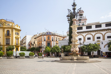 Fototapeta na wymiar Plaza del Triunfo, Seville, Spain