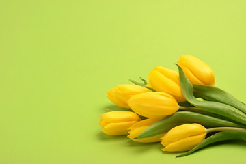 bouquet of yellow tulip flowers on green background