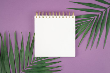 Top view of a notepad, with a green palm leaves.