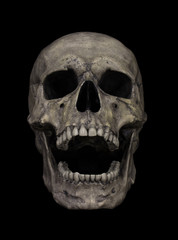 Human Skull Isolated on black