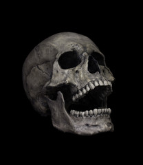 Human Skull Isolated on black