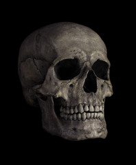 Human Skull Isolated on black