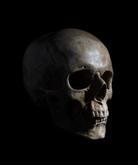 Human Skull Isolated on black