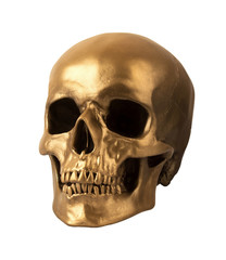 Gold human Skull Isolated