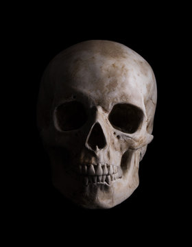 Human Skull Isolated on black