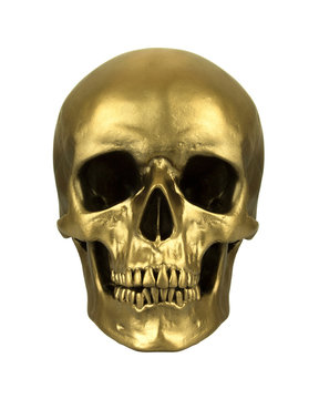 Gold human skull isolated