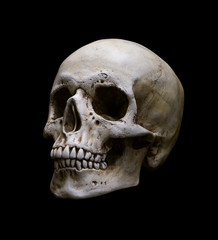 Human Skull Isolated on black