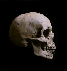 Obraz premium Human Skull Isolated on black