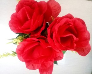 bouquet of red roses on white background