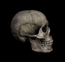 Human Skull Isolated on black