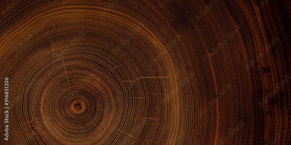 Wall mural old wooden oak tree cut surface. detailed warm dark brown and orange tones of a felled tree trunk or