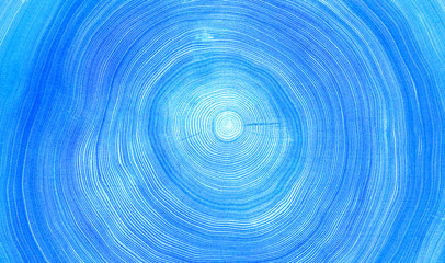 Monotone blue cut wood texture. Detailed flat background of a felled tree trunk or stump. Rough...