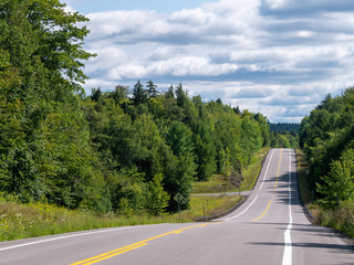 Road through the woods