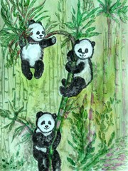 Three pandas climb on bamboo trees at Chengdu Panda Reserve (Chengdu Research Base of Giant Panda Breeding) in Sichuan, China.  Subject: Pandas, Cub, Reserve, Chengdu.