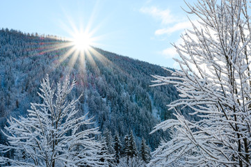 The sun rising behind a mountain of snow covered trees - 316854233