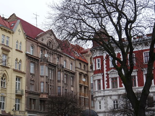 Fototapeta premium Ľviv in December 2019