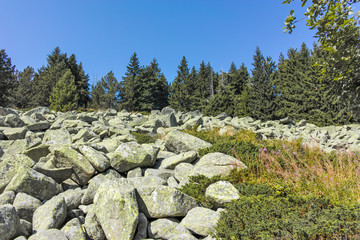 Landscape with Moraine at Vitosha Mountain, Bulgaria