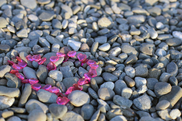 heart pebbles  on the beach 