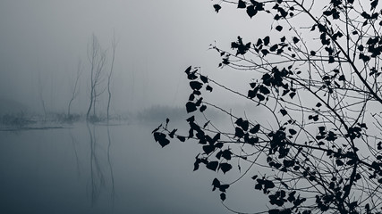 Mysterious fog on the river bank. Web banner.