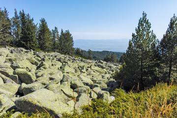 Landscape with Moraine at Vitosha Mountain, Bulgaria