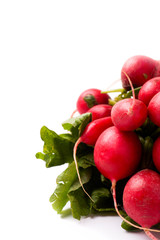 Bunch of Radishes Isolated on White Background