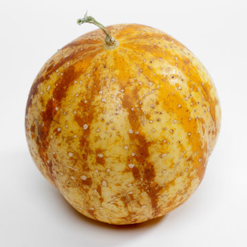 lemon cucumber