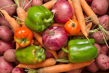Freshly Harvested Vegetables
