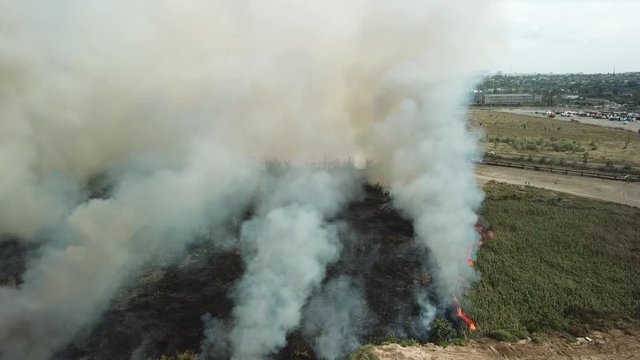 Flames in the field, a lot of smoke