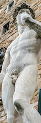 Fototapeta na wymiar The statue of David by Michelangelo on the Piazza della Signoria in Florence, Italy. Vertical banner