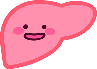 Illustration of cute simplified liver