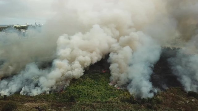 The burning field of reeds, a lot of smoke, the view from the drone