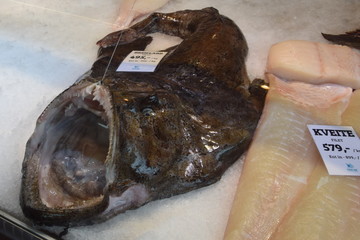 Anglerfisch am Fischmarkt